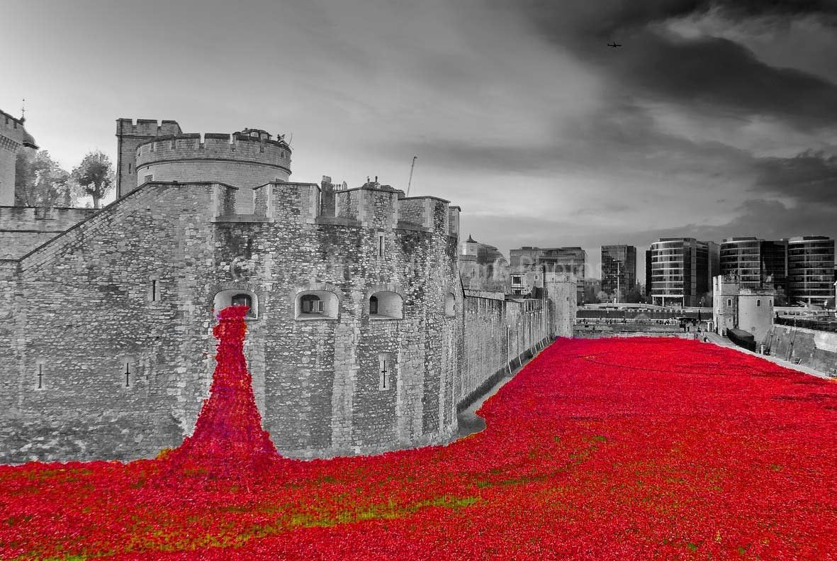 A 12"x8" photograph of the Poppies at The Tower of London Blood Swept Lands and Seas of Red, World War One Memorial England United Kingdom landscape photo color tinted black and white art picture print by Andy Evans Photos