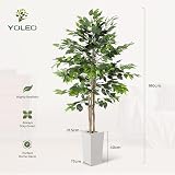 YOLEO 6ft Ficus Tree with White Planter Indoor Fake Plant Decor view 3