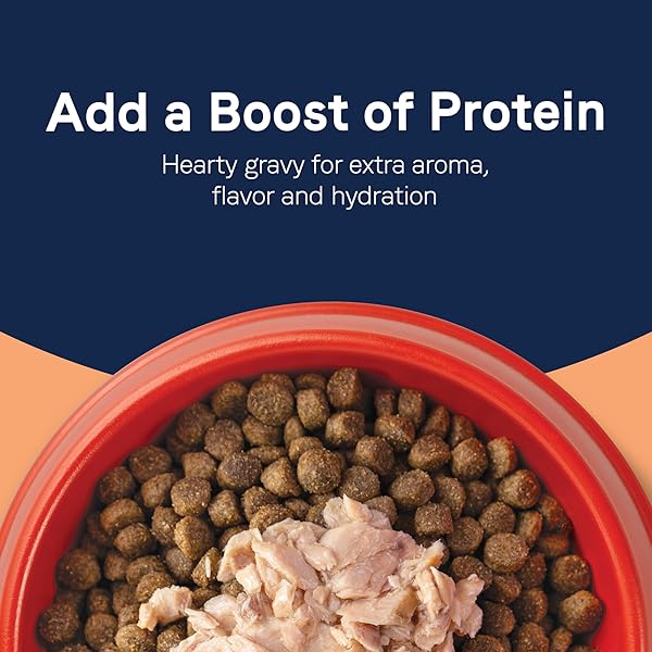 CANIDAE PURE PROTEIN TOPPER WET DOG FOOD – WILD-CAUGHT SALMON RECIPE IN GRAVY, 3 OZ. (CASE OF 12)
