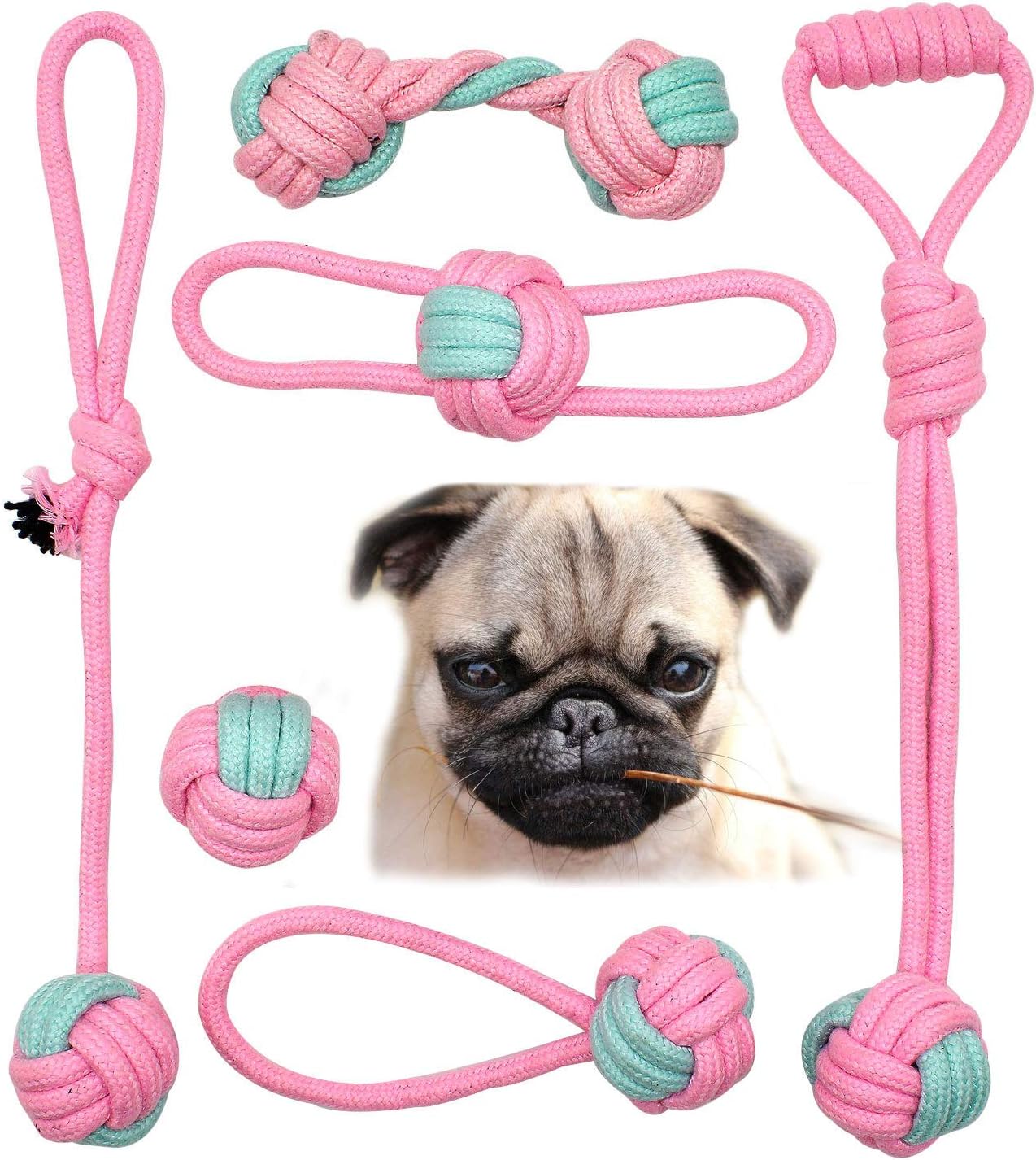 dog safe rope