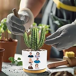 Funny TV Show Planter Pots, TV Show Merchandis