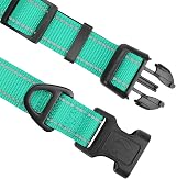 Joytale Reflective Dog Collar XS Teal Soft Neoprene Padded Nylon view 3