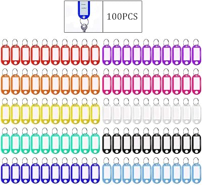 Pengxiaomei 100pcs Key Tags 10 Colors Luggage ID Tags with Ring