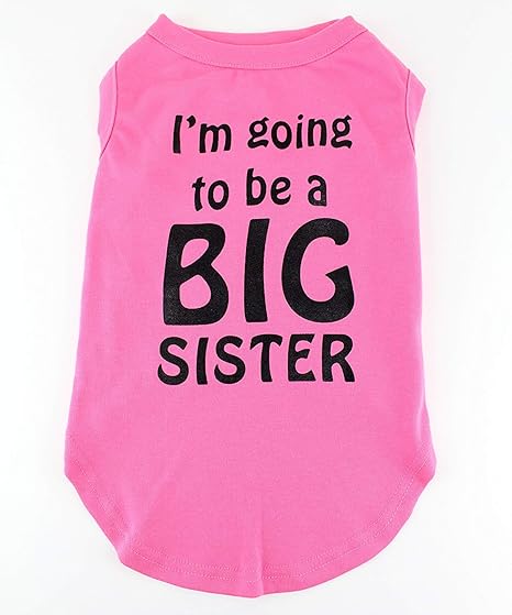 big sister dog outfit