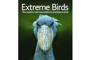 Extreme Birds: The World's Most Extraordinary and Bizarre Birds