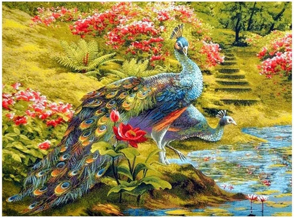 Diamond Painting Kit 5D DIY Arte Craft Full Drill Imagen Grande Crystal