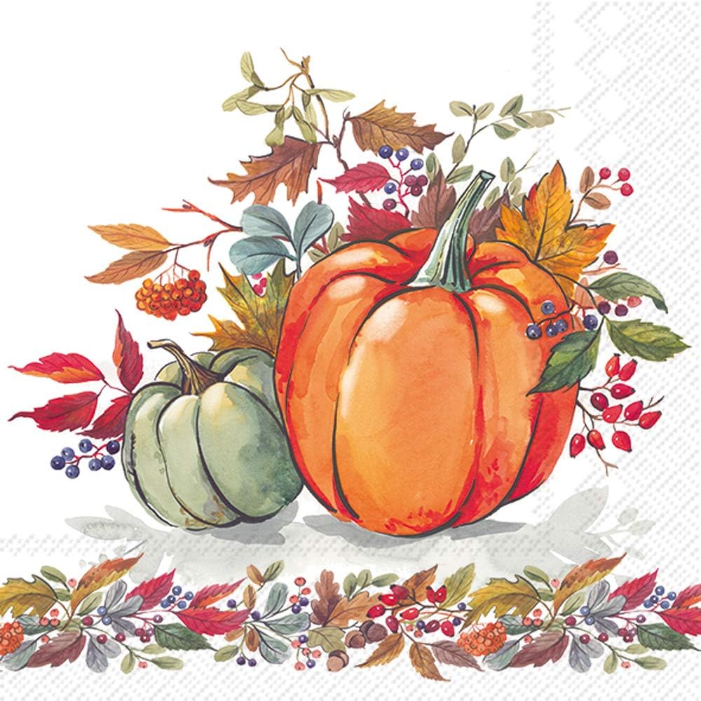 IHR FALL PUMPKINS paper table lunch napkins 33 cm square 3 ply 20 in a