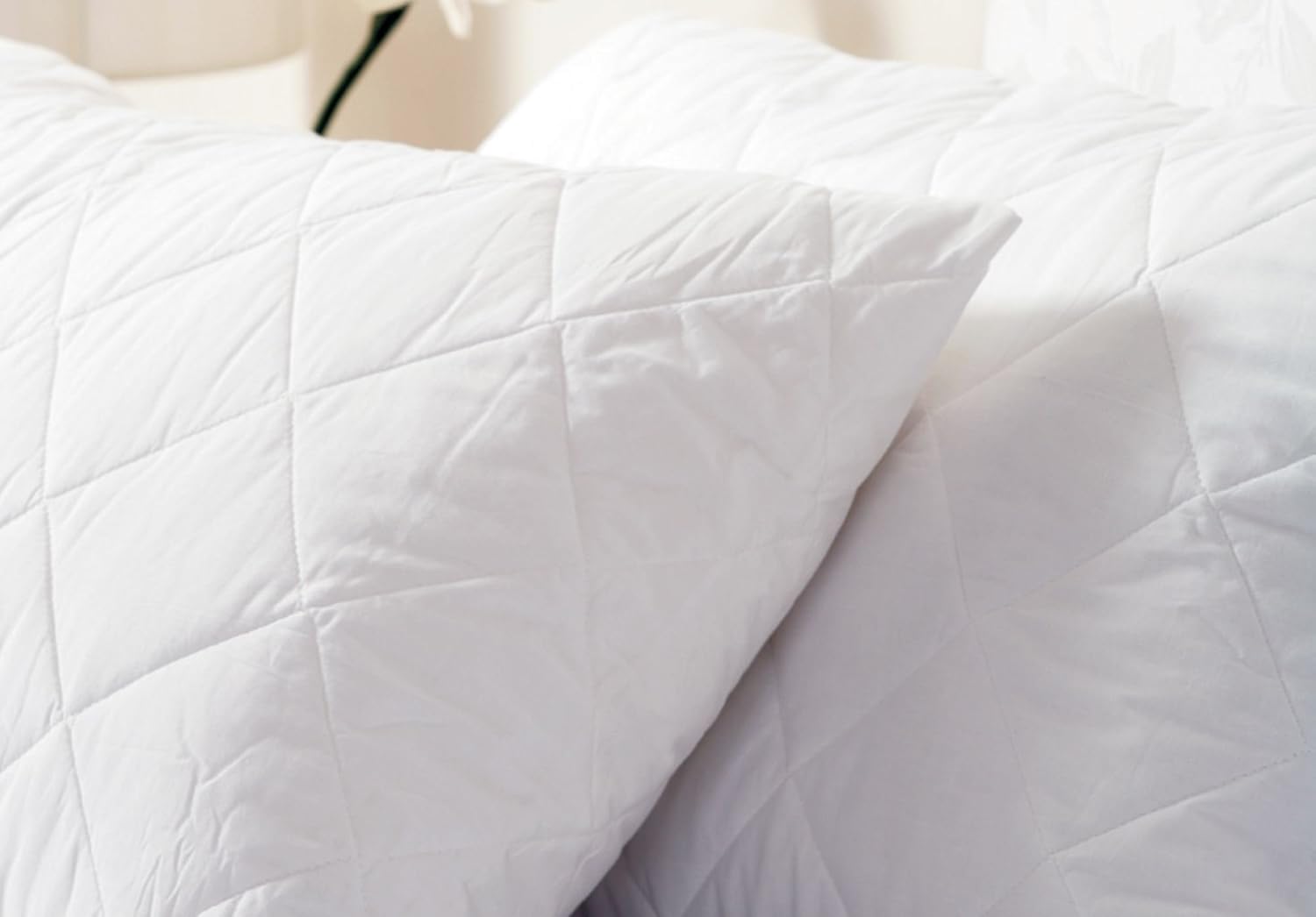 Belledorm Quilted Pillow Protector Anti Allergy Protection 100