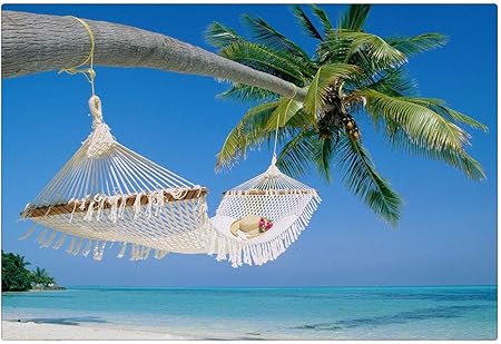 Gagalam Puzzle Adulte En Bois 1000 Pieces Hamac De Plage Cocotier Le Choix Pour Les Cadeaux Et La Decompression Amazon Fr Cuisine Maison