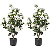 Datietiao Artificial Camellia Tree 2 Pack - Realistic Camellia Plants in Pot with White Flowers, Lifelike Faux Greenery for Living Room, Patio, or Wedding, White