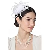 BABEYOND Fascinators Hats for Women - Tea Party Hats Kentucky Elegant Tulle Mesh Feather Bridal Wedding Headband Hair Clip