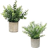Flojery 2 Pack Small Fake Plants Faux Eucalyptus Potted Artificial Plants for Home Indoor Office Bathroom Dining Room Coffee Table Décor
