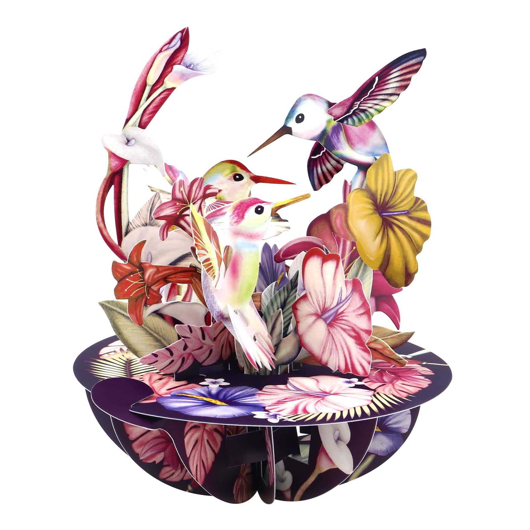 SANTORO Pirouette, 3D Pop Up Greeting Card - Hummingbirds (Blush) - For Her, Him, Mum, Wife, Sister, Daughter, Birthday, Bird Lovers | Thank You Cards For Teacher | Get Well Soon Card