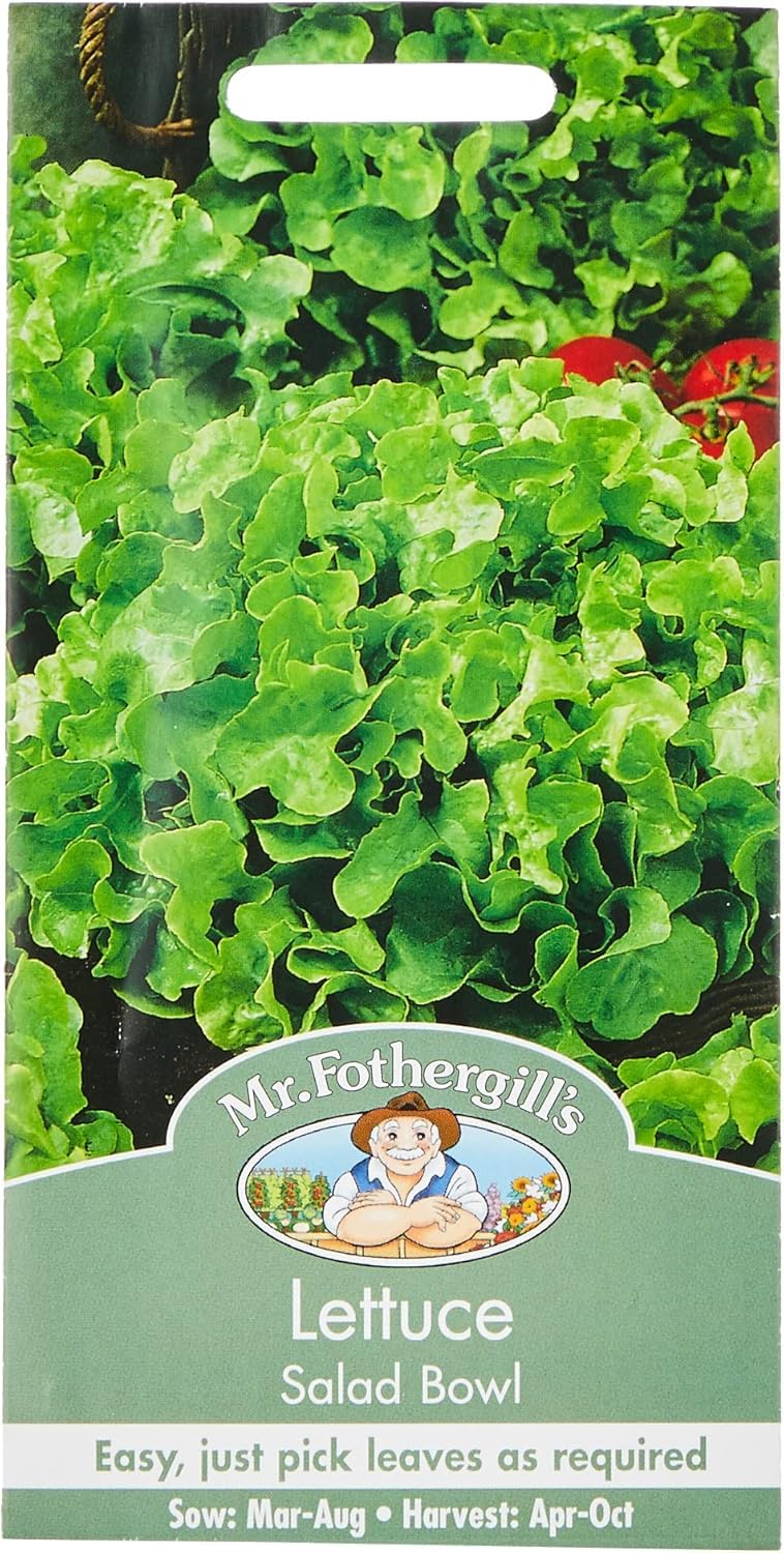 Mr Fothergill's 10254 Vegetable Seeds, Lettuce Salad Bowl, Green