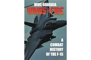 Wings of Fire: A Combat History of the F-15