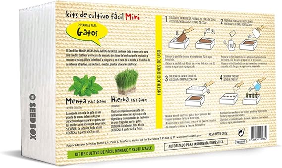 Huerto Urbano - Seed Box Mini Gatos - Batlle: Amazon.es: Jardín