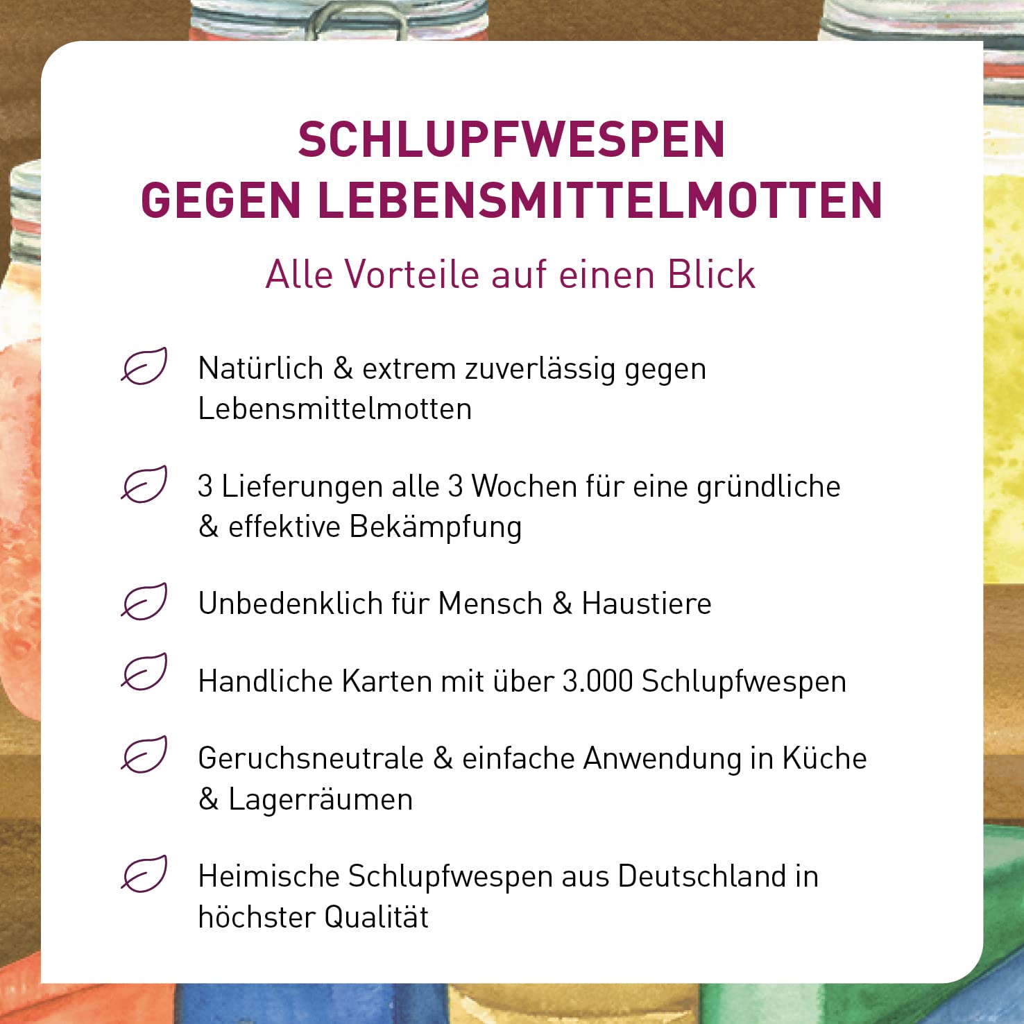 Plantura Schlupfwespen gegen Lebensmittelmotten, 9 Karten 7