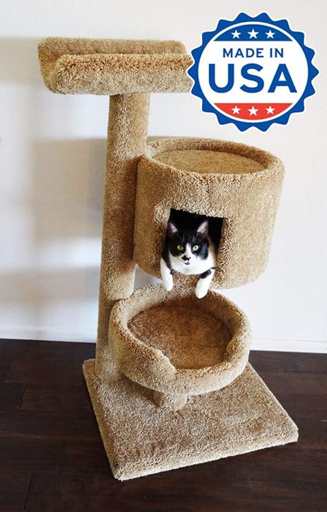 kitty condo amazon