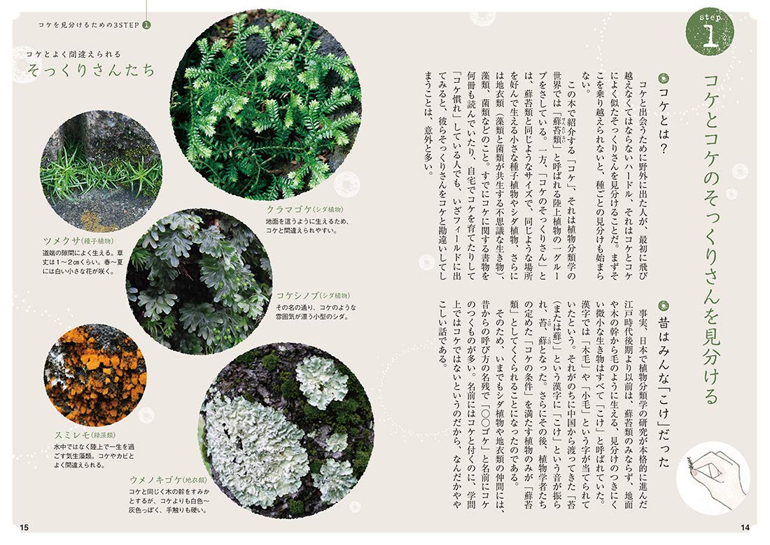 Amazon Fr 知りたい 会いたい 特徴がよくわかる コケ図鑑 Livres