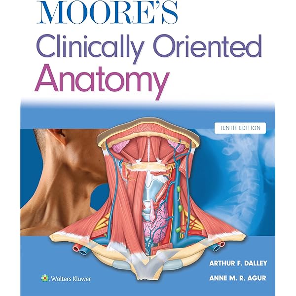 Photographic Atlas of Anatomy (English Edition) - eBooks em Inglês