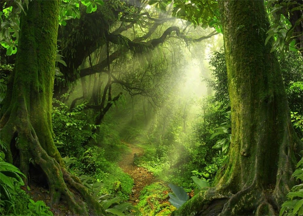 20x15ft Jungle Forest Trees Backdrops For Photography Summer - View #6
