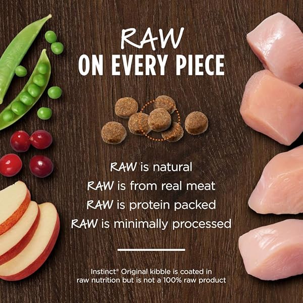 INSTINCT ORIGINAL DRY CAT FOOD, RAW COATED KIBBLE, HIGH PROTEIN, GRAIN FREE RECIPE – REAL CHICKEN, 11 LB. BAG