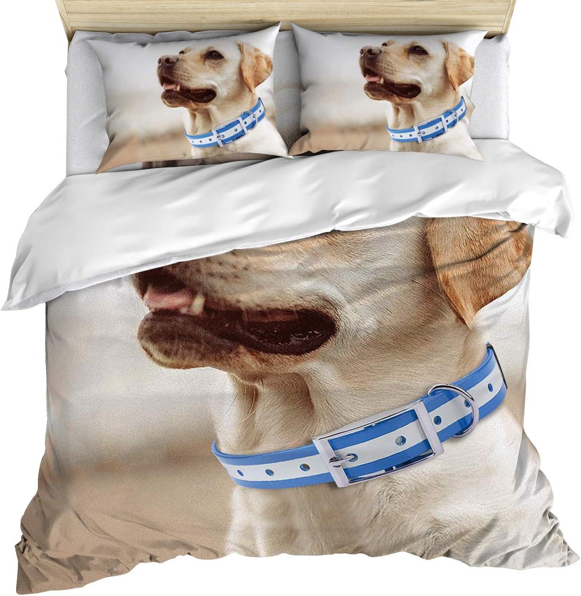 Bedding Set 4 Piece Twin Size(1 Flat Sheet, 1 Duvet Cover and 2 Pillow