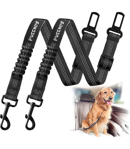Doggie Stylz Reflektierende Blind Hund Patches – 2er Set, Größe Large 6x2 Zoll, Abnehmbar Für Geschirr