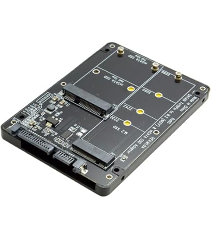 Amazon.com: Xiwai Dual MSATA Mini-SATA SSD Card JBOD Raid0 Span
