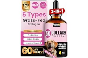 BUDDYCHEER Premium Collagen for Dogs & Cats – 5 Types of Grass-Fed Collagen (I, II, III, V & X), Fast Allergy & Itch Relief Dog Colágeno with MSM, Biotin & Hyaluronic Acid – Supports Healthy Skin & Joints –120ml