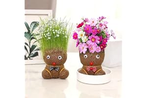 2 PCS DIY Grass Head Doll Planting Kit, Valentine's Day Grass Head Doll Plant Handicraft and Art Gift for Office Desktop Gard