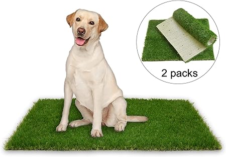 what happens if a dog urinates on artificial grass