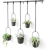 Umbra Triflora Hanging Planter for Window, Indoor Herb Garden, Set of 5, Black