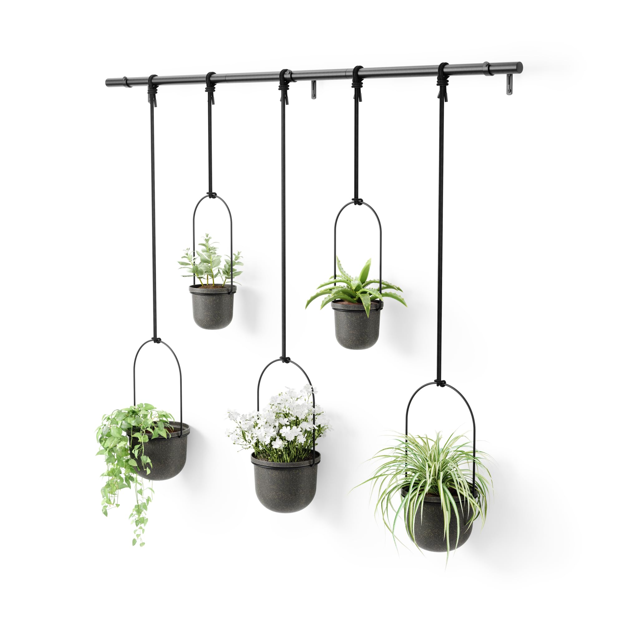 Photo 1 of Umbra Triflora Hanging Planter, Set of 5, Black