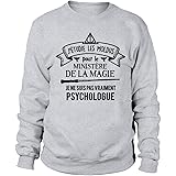 Sweat homme - J'enseigne aux Moldus
