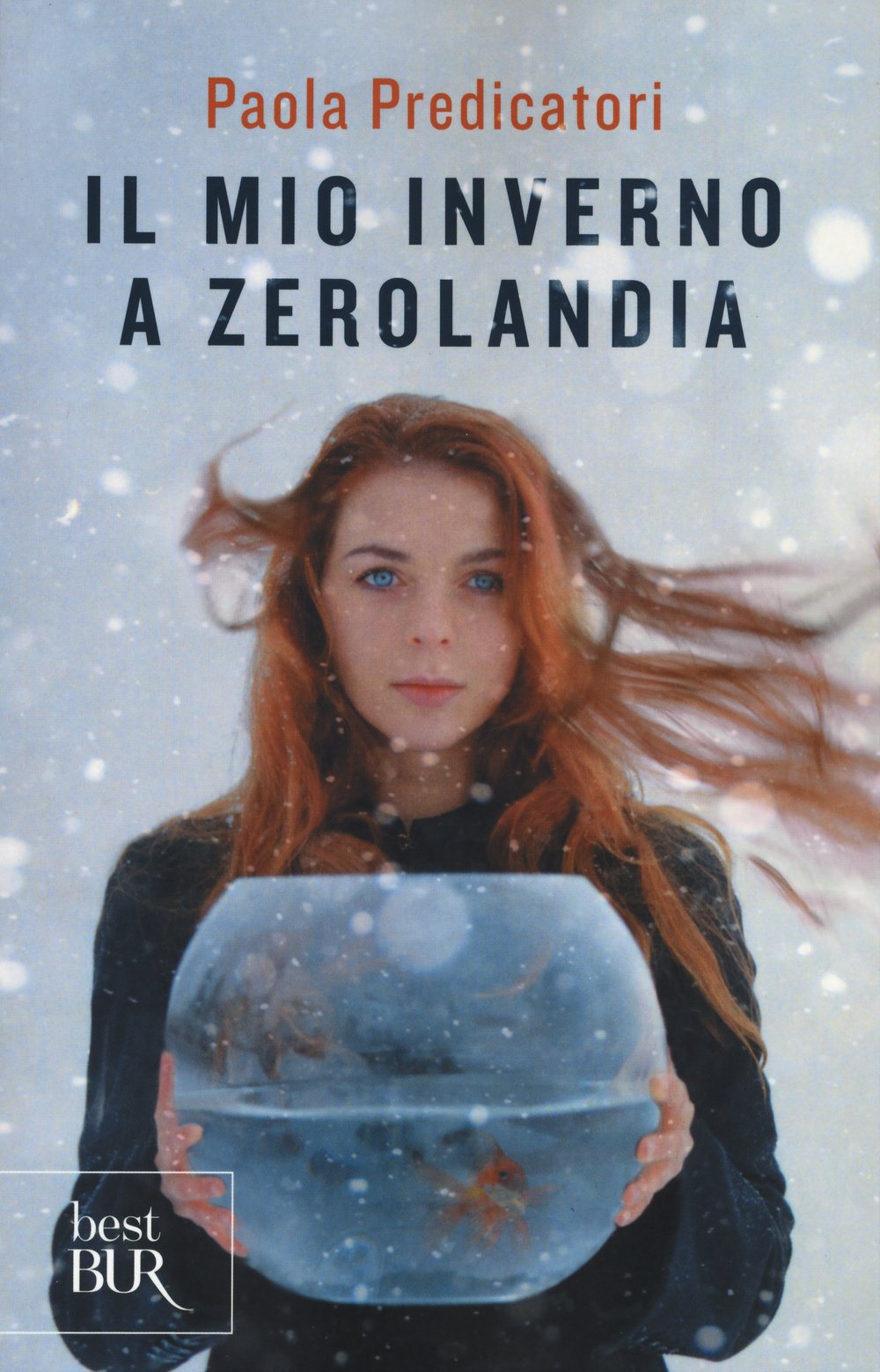Il Mio Inverno A Zerolandia Predicatori Paola 9788817075060 Amazon Com Books