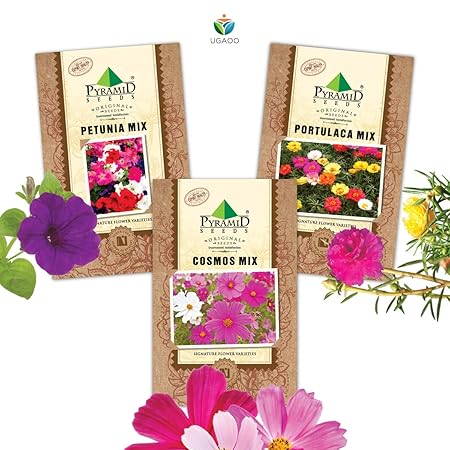 Pyramid Seeds Flower Seeds Combo Of Cosmos Mix, Petunia Mix, Portulaca Mix