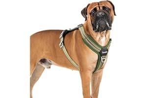 Tacwild No Pull Dog Harness - Adjustable Reflective Dog Vest with Metal Snap, Soft Breathable Mesh No Choke Puppy Harness, Easy to Put on & Take Off (Green-XL)