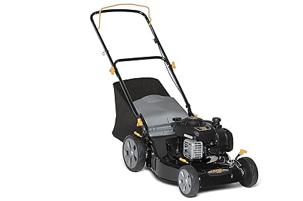 Alpina BL 460 B B & S 300 Series – 295491024/A15 Cortacésped cajones Starter: