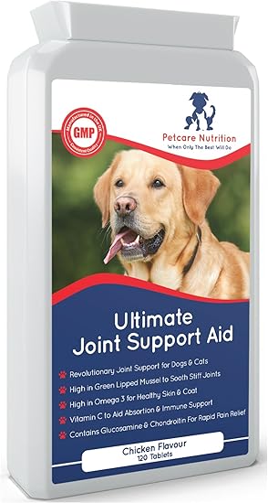pain relief for dogs uk