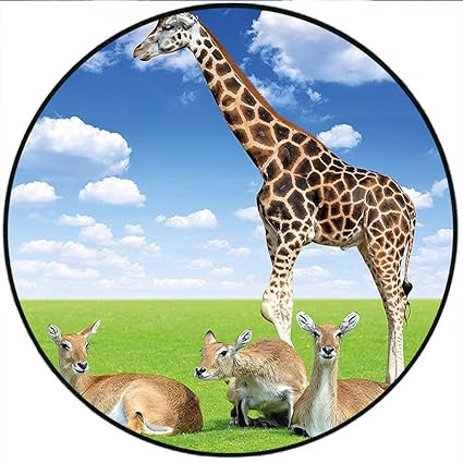Amazon Com Short Plush Round Carpet Giraffe Antelope And