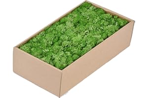 TAIKUU 久の物 1.1lb Moss for Potted Plants, Preserved Artificial Moss Fake Moss Green Moss Reindeer Moss for Craft Arts Floral Project Planters Table Decor Wedding Garden Terrariums Decoration (Emerald Green)…