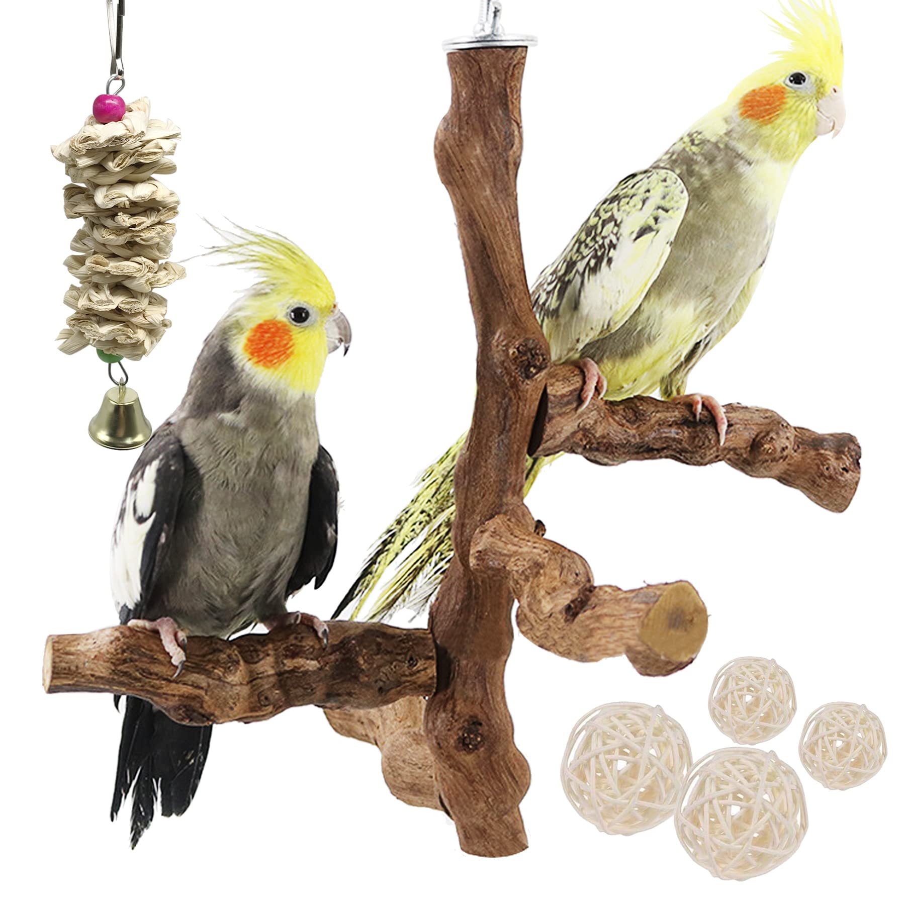 Allazone 6 PCS Bird Perch with Chewing Toys Grapevine Parrot Stand - Natural Grape Stick for Parrots, Parakeets, Cockatiels, Conures, Macaws, Love Birds