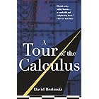 A Tour of the Calculus