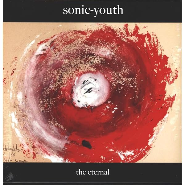 Amazon.com: Sonic Nurse[2 LP]: CDs y Vinilo