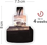 Yankee Candle ScentPlug Black Coconut Refills 2 Pack 18.5 ml each view 3