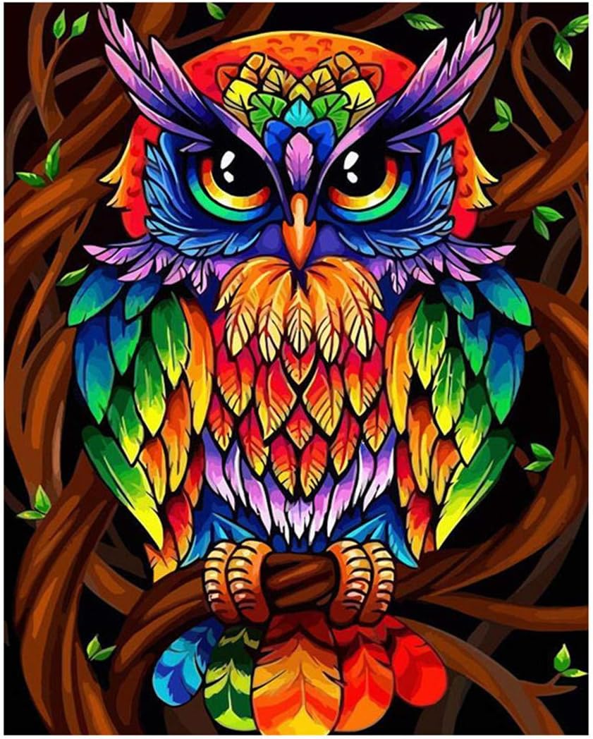 DIY Paint by Numbers, Canvas Oil Painting Kit for Kids & Adults, 16" W x 20" L Drawing Paintwork with Paintbrushes, Acrylic Pigment-Rainbow Owl