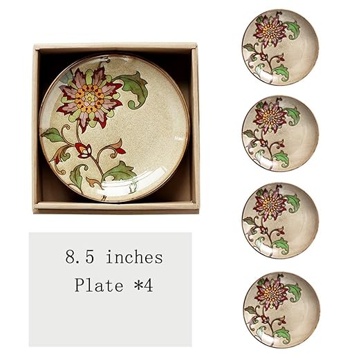 BaoKangShop Platos para microondas Platos Occidentales ...