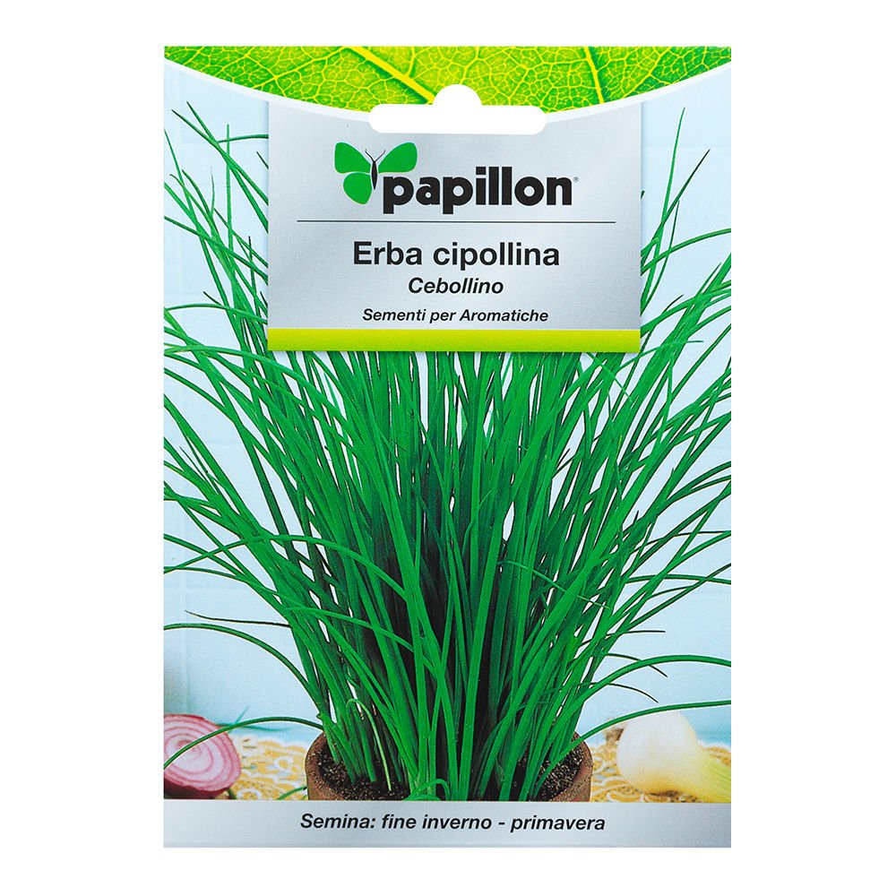 Semillas Aromaticas Cebollino (1 Gramo): Amazon.es: Jardín