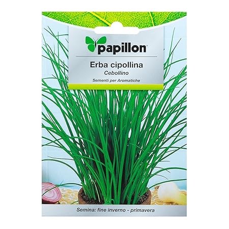 Semillas Aromaticas Cebollino (1 Gramo): Amazon.es: Jardín